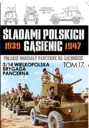 3/14 Wielkopolska Brygada Pancerna  - <br />